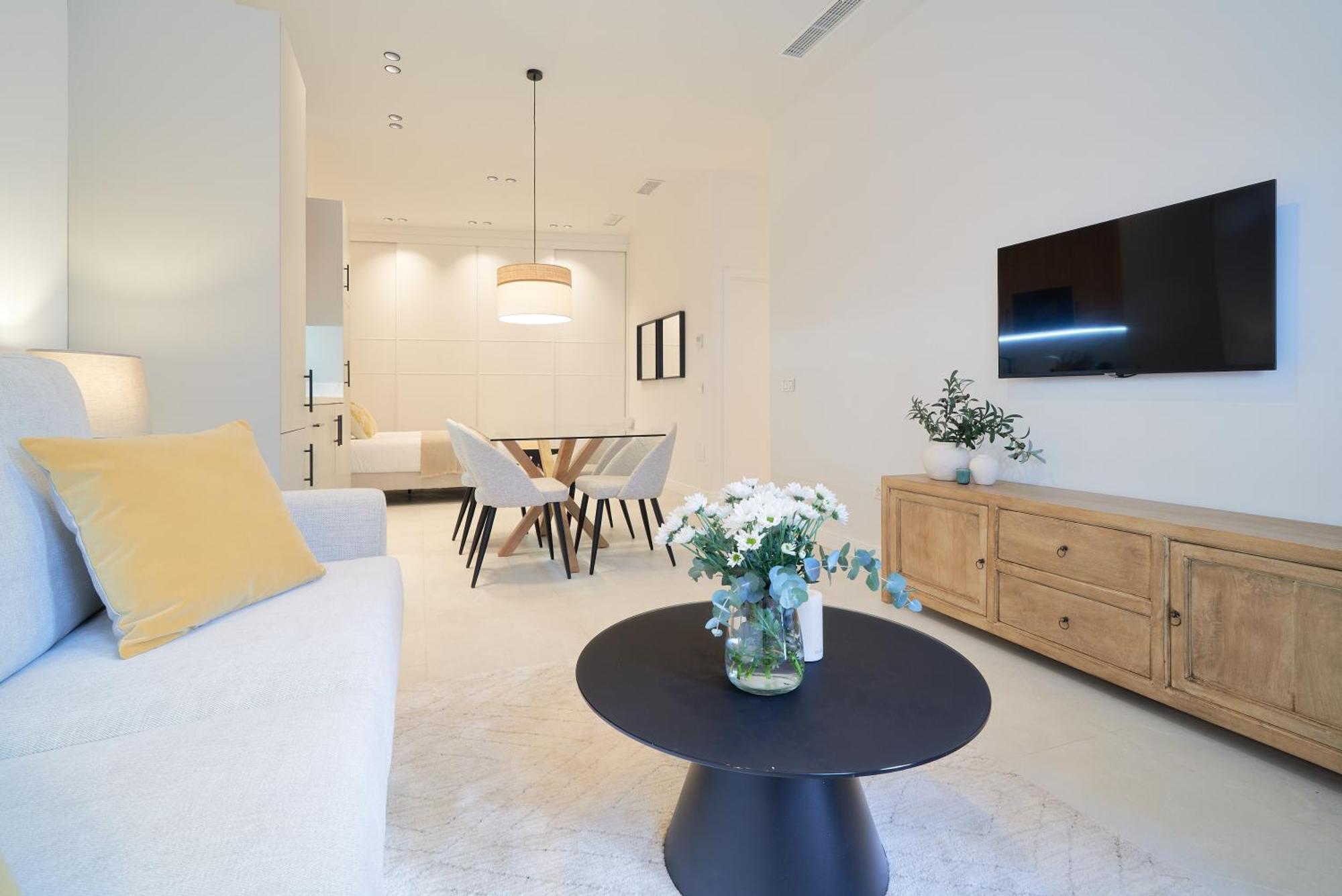 Apartment Iloftmalaga Domingo Lozano Malaga